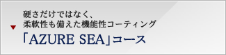 硬さだけではなく、柔軟性も備えた機能性コーティング 「AZURE SEA」コース